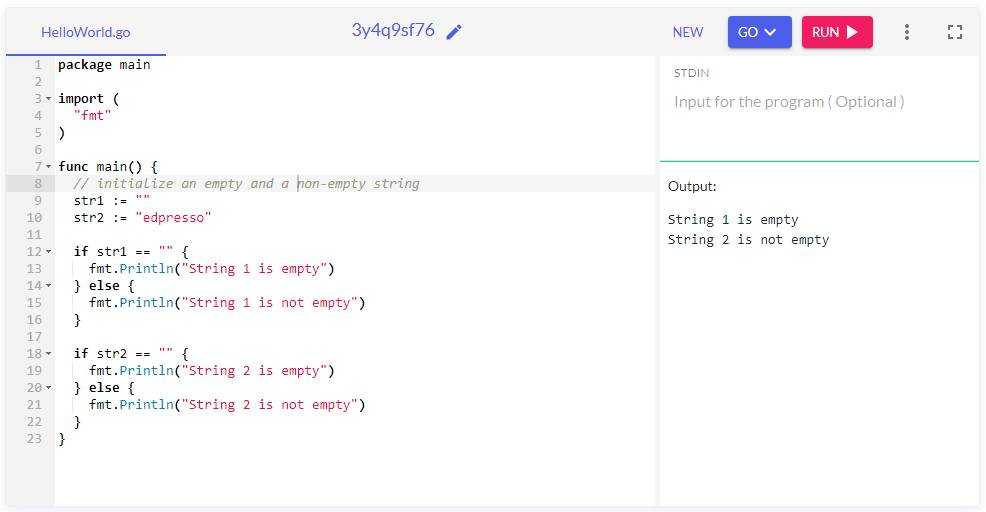 Using Type Assertion To Check Variable Types In Golang