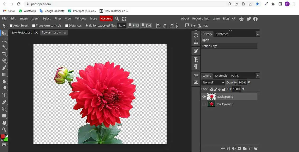 How to cut in photopea? - aGuideHub