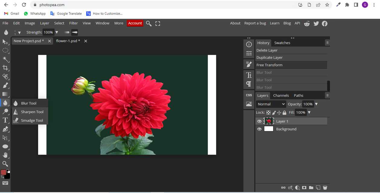 How to blur in photopea? - aGuideHub