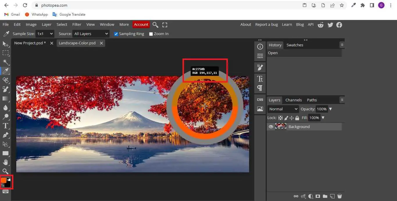 How To Copy Color In Photopea AGuideHub