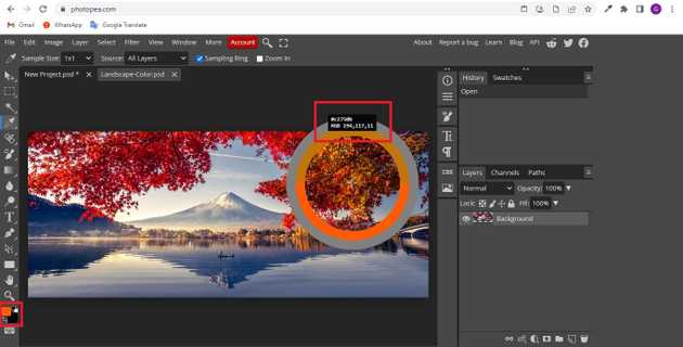 how-to-copy-color-in-photopea-aguidehub