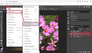 How to do selective color in photopea? - aGuideHub