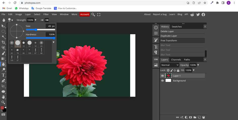 How to blur in photopea? - aGuideHub