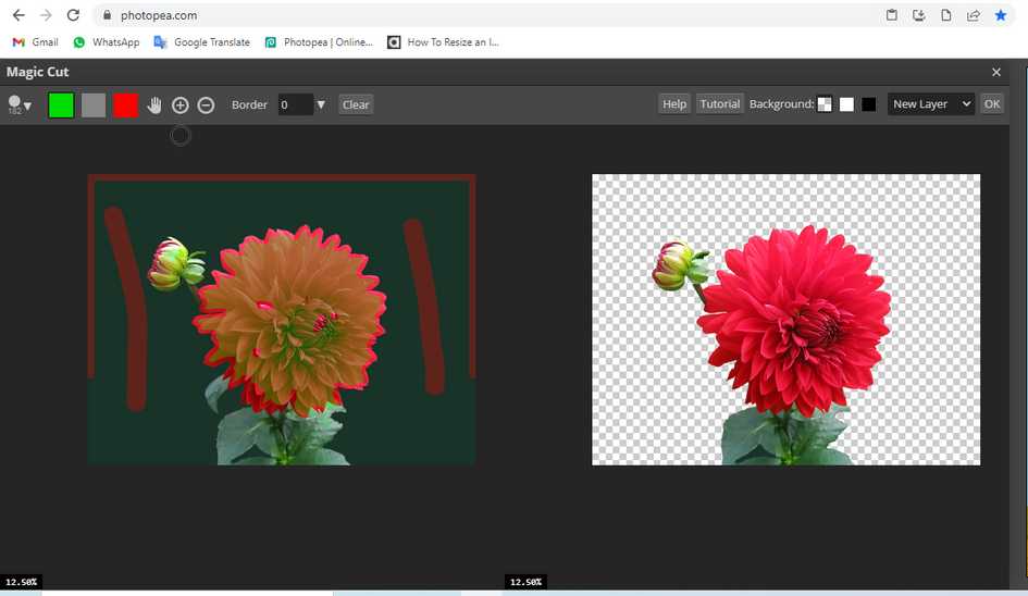 How to cut in photopea? - aGuideHub