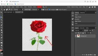 How to change white background in photopea? - aGuideHub