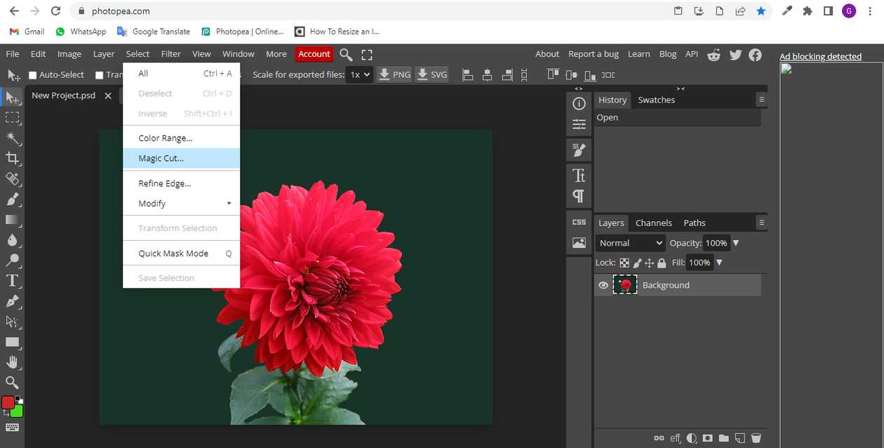 How to cut in photopea? - aGuideHub