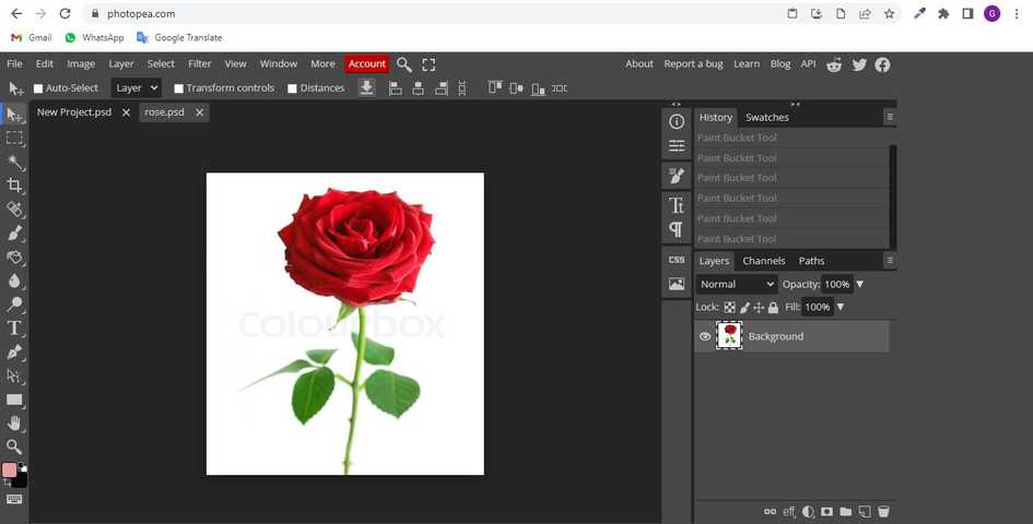 How to change white background in photopea? - aGuideHub