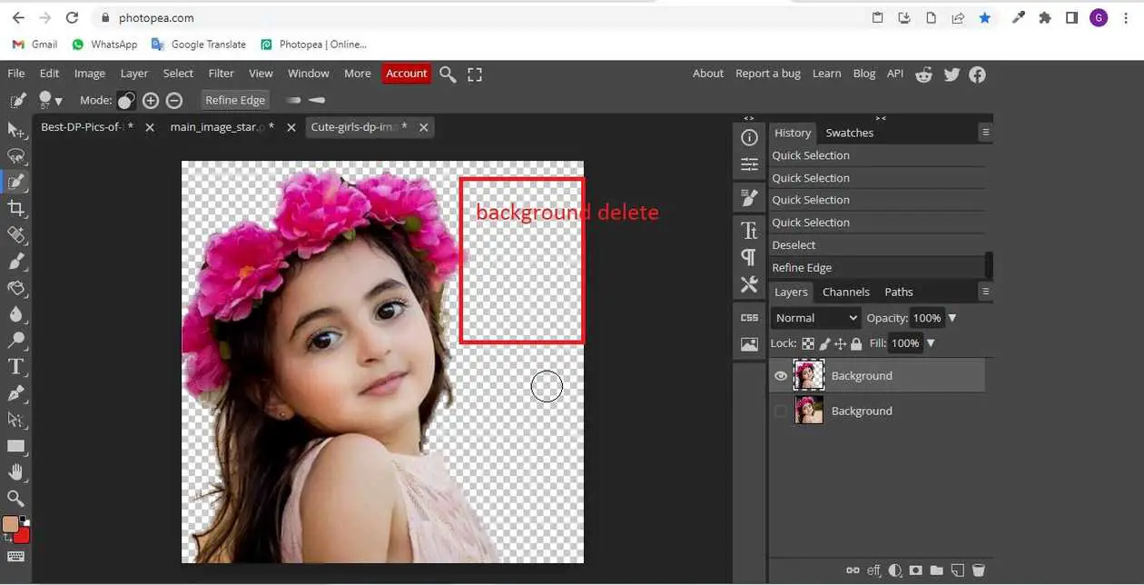 How to use quick selection tool in photopea? - aGuideHub